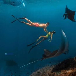 Manta Point Nusa Penida