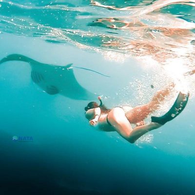 Manta Point Nusa Penida