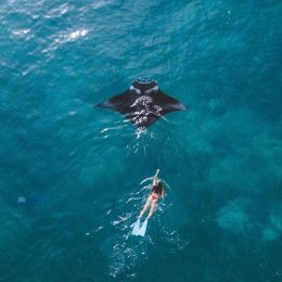 Manta Point Nusa Penida