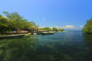 Hutan Mangrove Nusa Lembongan