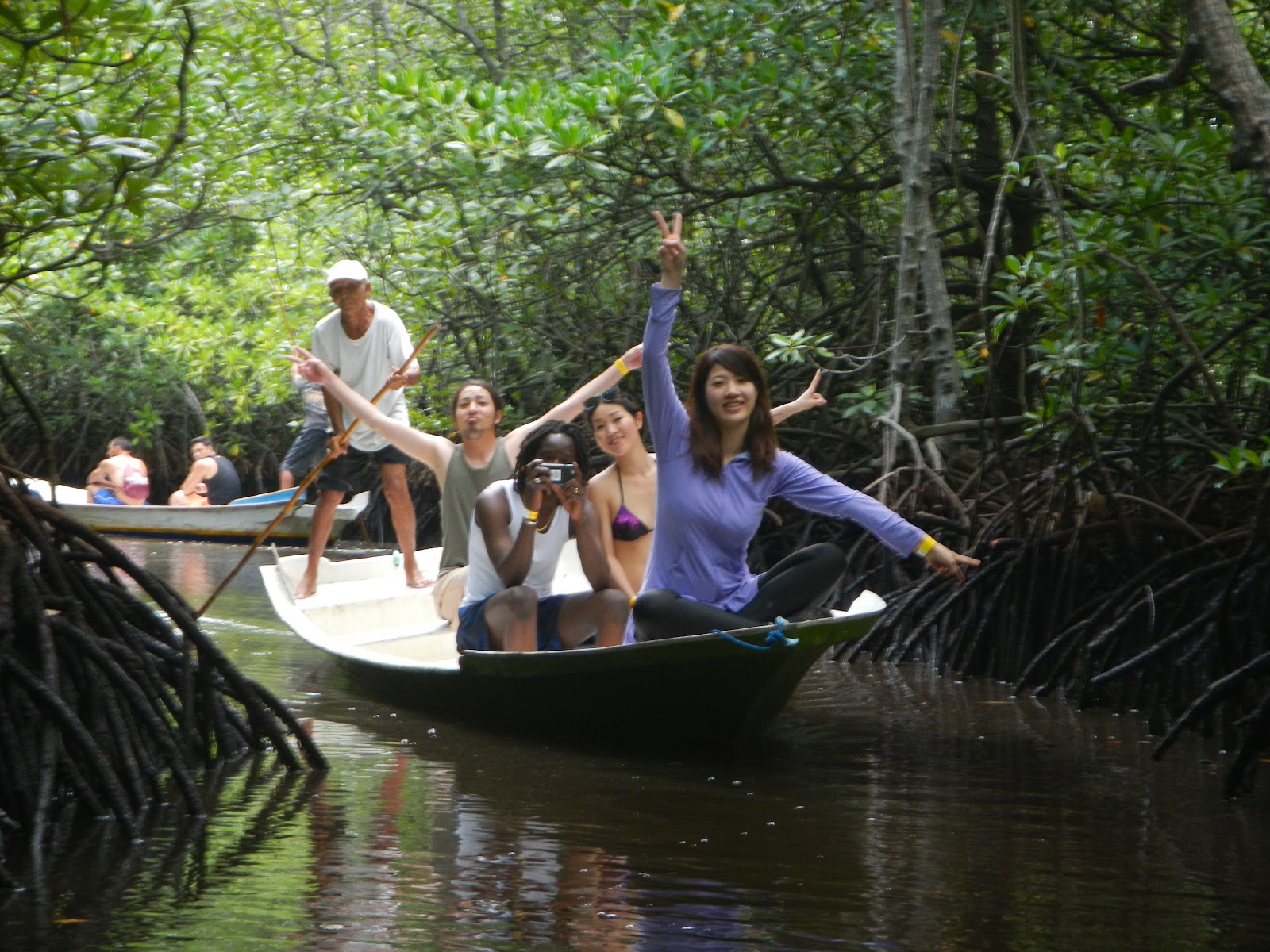 Hutan mangrove nusa lembongan island