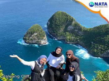 nusa penida tour 1 hari - Paluang cliff