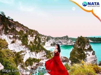 Half day trip nusa penida tour 1 hari raja lima
