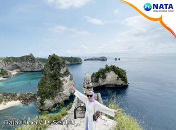 Nusa Penida Tour 1 hari 1 malam Raja Lima