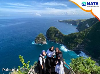 hal day tour nusa penida paluang cliff