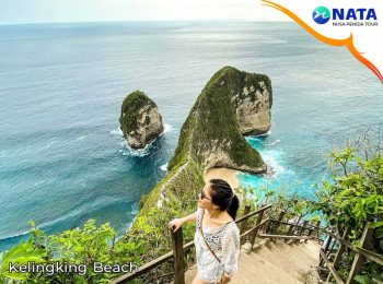 Half Day Tour Nusa Penida Kelingking Beach